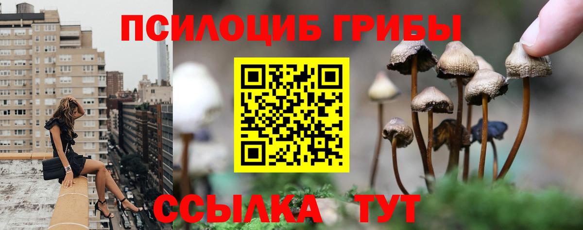 Партизанск  Псилоцибиновые грибы ЛСД  Вход с VPN 